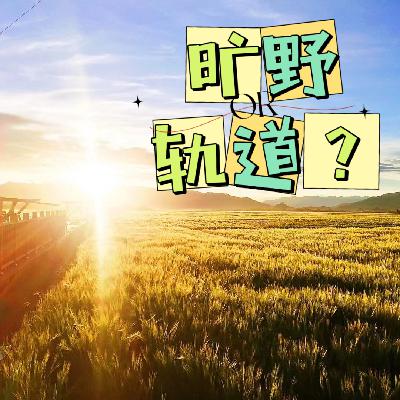 03. 旷野还是轨道？“发疯”的人先找到精神拧巴的解药
