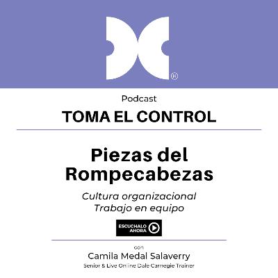 Piezas del rompecabezas