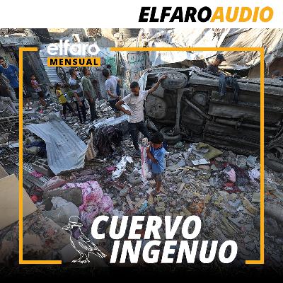 Cuervo ingenuo | Aliens