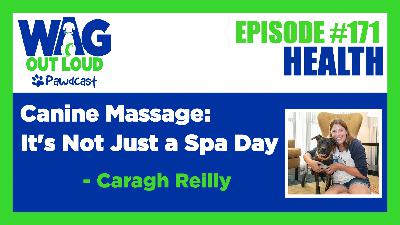 Canine Massage: It's Not Just a Spa Day