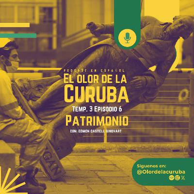 6. Patrimonio
