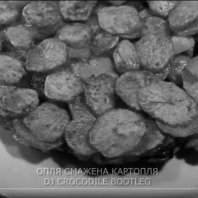 Lesfleures - опля смажена картопля (dj crocodile bootleg)