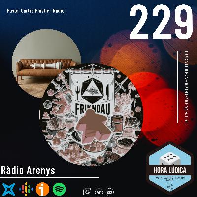 Programa 229