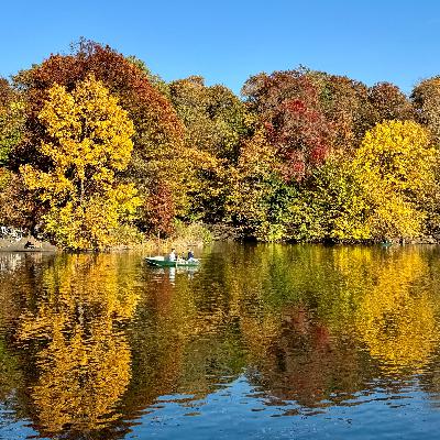 20 - 《精力管理》| 让生活和能量流动起来，不再争先恐后而筋疲力尽