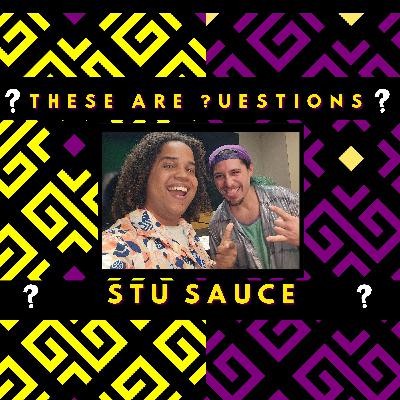 These Are Questions - Stu Sauce