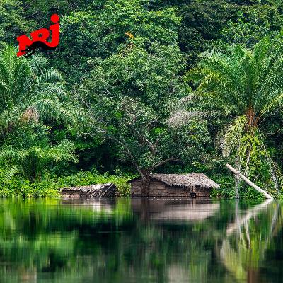 Congo, ce géant africain à la beauté naturelle - Rediff