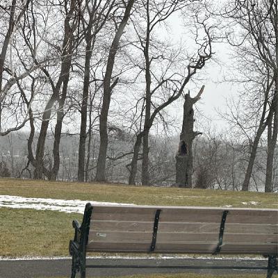Windy Thursday on the Parkway