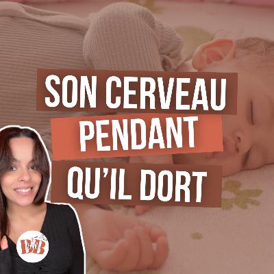 Comment fonctionne vraiment le sommeil de bébé ? La biologie expliquée (0-12 mois) - EasyDream