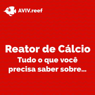 Tudo o que você precisa saber sobre Reator de Cálcio