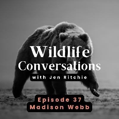 Episode 37: Wildlife Conversations with Madison Webb Episode 37: Wildlife Conversations with Madison Webb