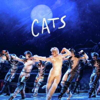 Die katte is terug op die planke in SA