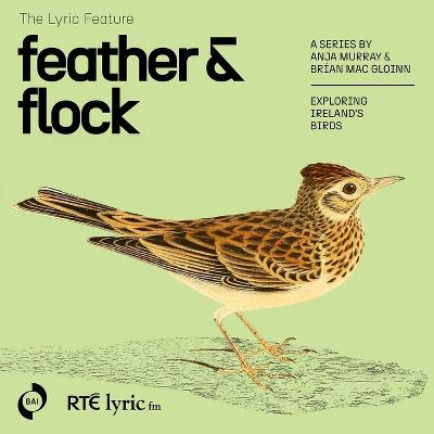 Feather and Flock - The Skylark  | The Lyric Feature
