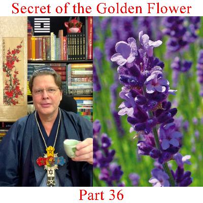 The Secret of the Golden Flower - Part 36