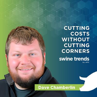 #07 - Cutting costs without cutting corners - Dave Chamberlin