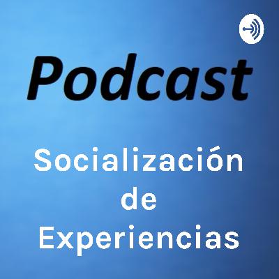 Socialización de las experiencias - Práctica I