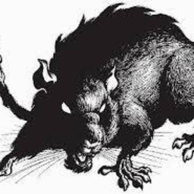 Conto “O RATO” (+16) Conto “O RATO” (+16)