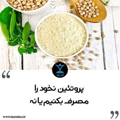 پروتئین نخود را مصرف بکنیم یا نه؟ (هوش مصنوعی) پروتئین نخود را مصرف بکنیم یا نه؟ (هوش مصنوعی)