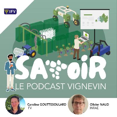 #S2 E5 Biocontrôle et pulvérisation : à quoi ressemblera la protection du vignoble demain ?