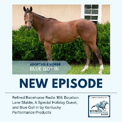 Bourbon Lane Stable, A Special Holiday Guest, and Blue Got In by Kentucky Performance Products Bourbon Lane Stable, A Special Holiday Guest, and Blue Got In by Kentucky Performance Products