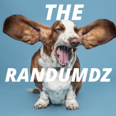 The Randumbz (Trailer)