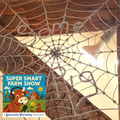 Could the Farm in 'Charlotte's Web' Be Real?