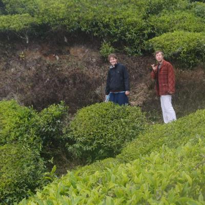 49 - Elephant Funeral and Daydream