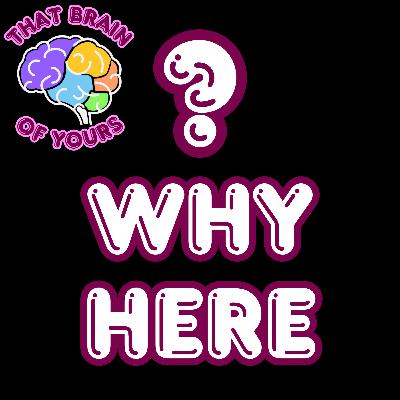 Why the Hell I Came to This Room?