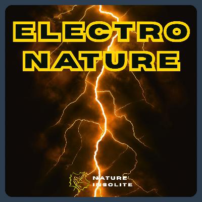 S06 E010 | L'électricité du monde, de l'atome au cosmos
