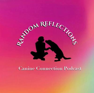 Random Reflections: Trial Venues