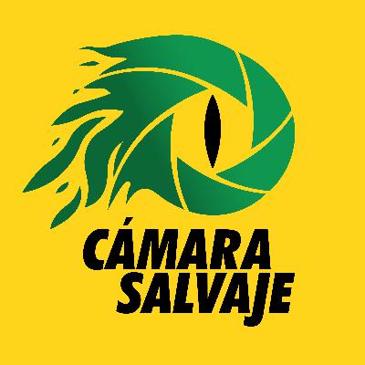 Trailer de Cámara Salvaje Trailer de Cámara Salvaje
