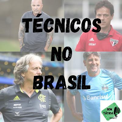 Técnicos no Brasil Técnicos no Brasil
