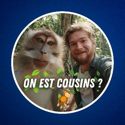 L'Homme descend-il du singe ? (C'est plus compliqué que ça... 🙈)