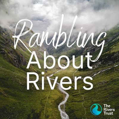 1.17: Reflecting on The Rivers Trust journey