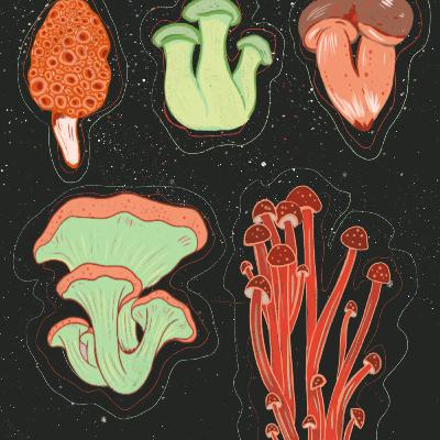 Mushrooms