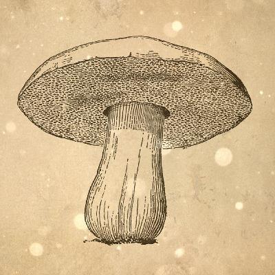 Loremen S6Ep45 - The Hanborough Haunting