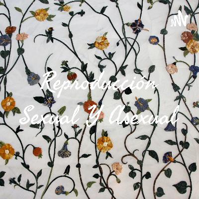 Reproducción Sexual y Asexual