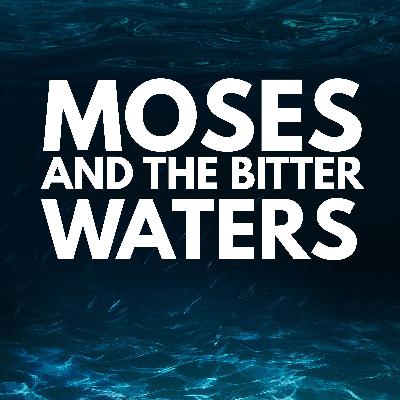 Moses and The Bitter Waters (Exodus 15)