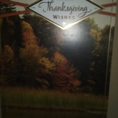 Dealing With Difficult & Not So Difficult Thanksgivings With Adolescents & Other Guests