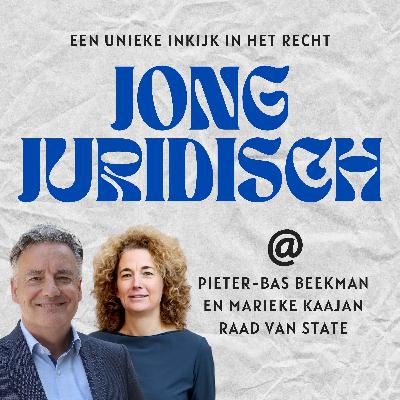 Pieter-Bas Beekman & Marieke Kaajan - Raad van State: van zitting tot uitspraak, evenredigheid in praktijk en recht dat je voelt