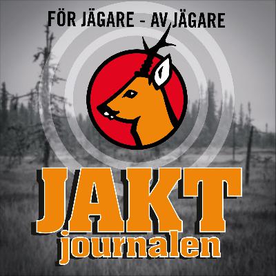 Äntligen lodjursjakt - så tänker några duktiga jägare Äntligen lodjursjakt - så tänker några duktiga jägare