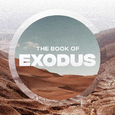Exodus 25-26