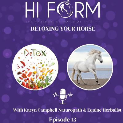 #13 Detoxing your horse