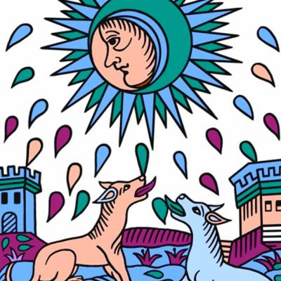 Parte 5: Como ser reflejo del otro para poder sanar.