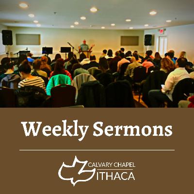 The Purpose for Christmas