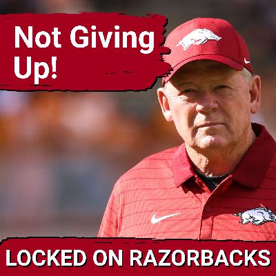 Did Bobby Petrino Give Razorback Fans Reasons To Be Hopeful?