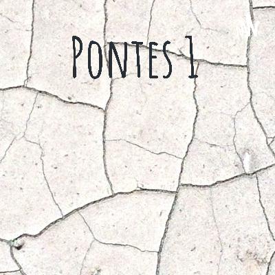 pontes 5