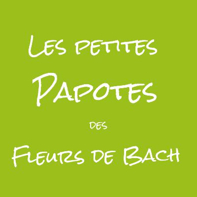 Les Petites Papotes des fleurs de Bach, pour quoi, pour qui ?