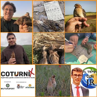 EL MORRAL DEL CAZADOR 08-08-2025 PROG 440 " CODORNICES, ANILLAMIENTOS, CENSOS Y EL PROYECTO COTURNIX"