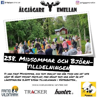 238. Midsommar & Björn-tilldelningen