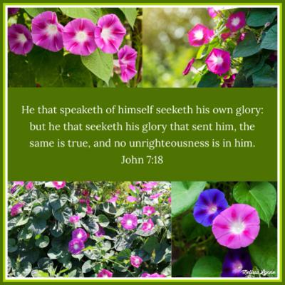 May 12 - He that Speaketh of Himself Seeketh His Own Glory